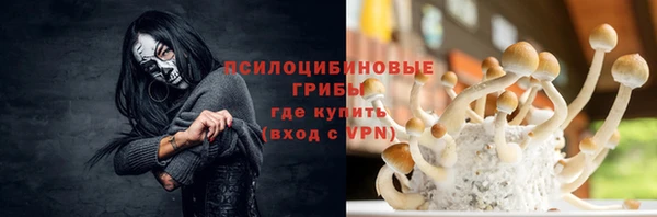 МДМА Алексеевка