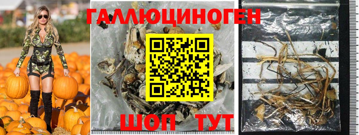 Галлюциногенные грибы Cubensis Краснокамск