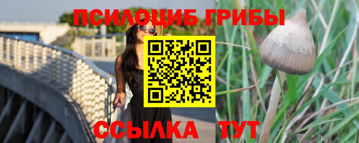 дарнет шоп  Вход с VPN  Краснокамск  Псилоцибиновые грибы Magic Shrooms  Галлюциногенные грибы прущие грибы 
